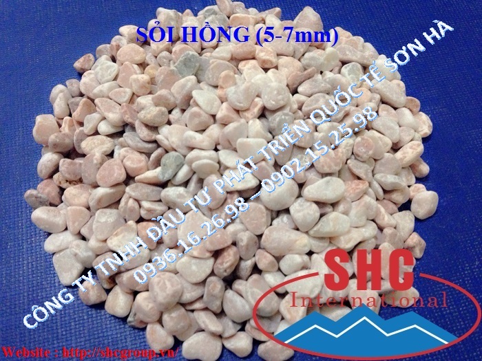 Sỏi hồng